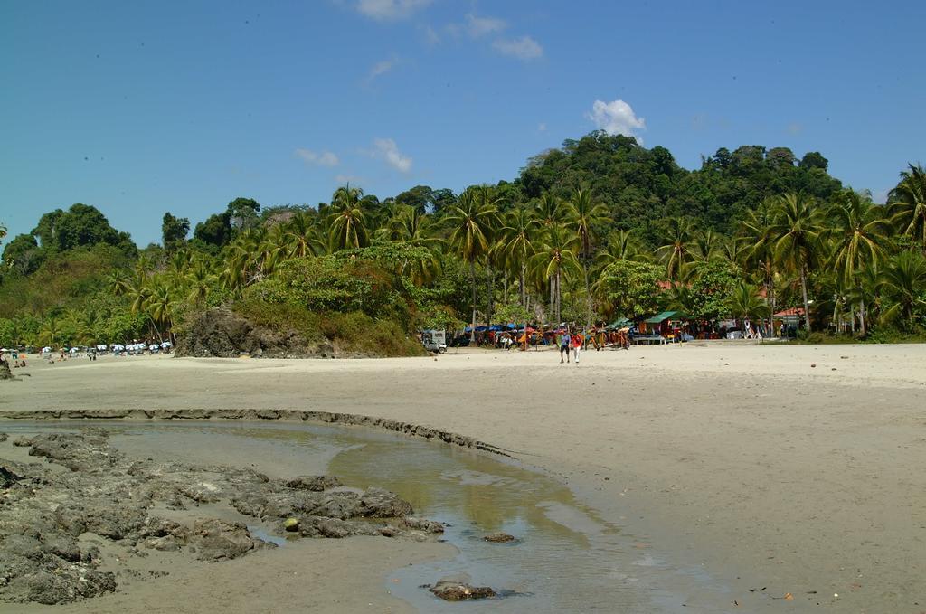 Hotel Coco Beach Manuel Antonio Kültér fotó